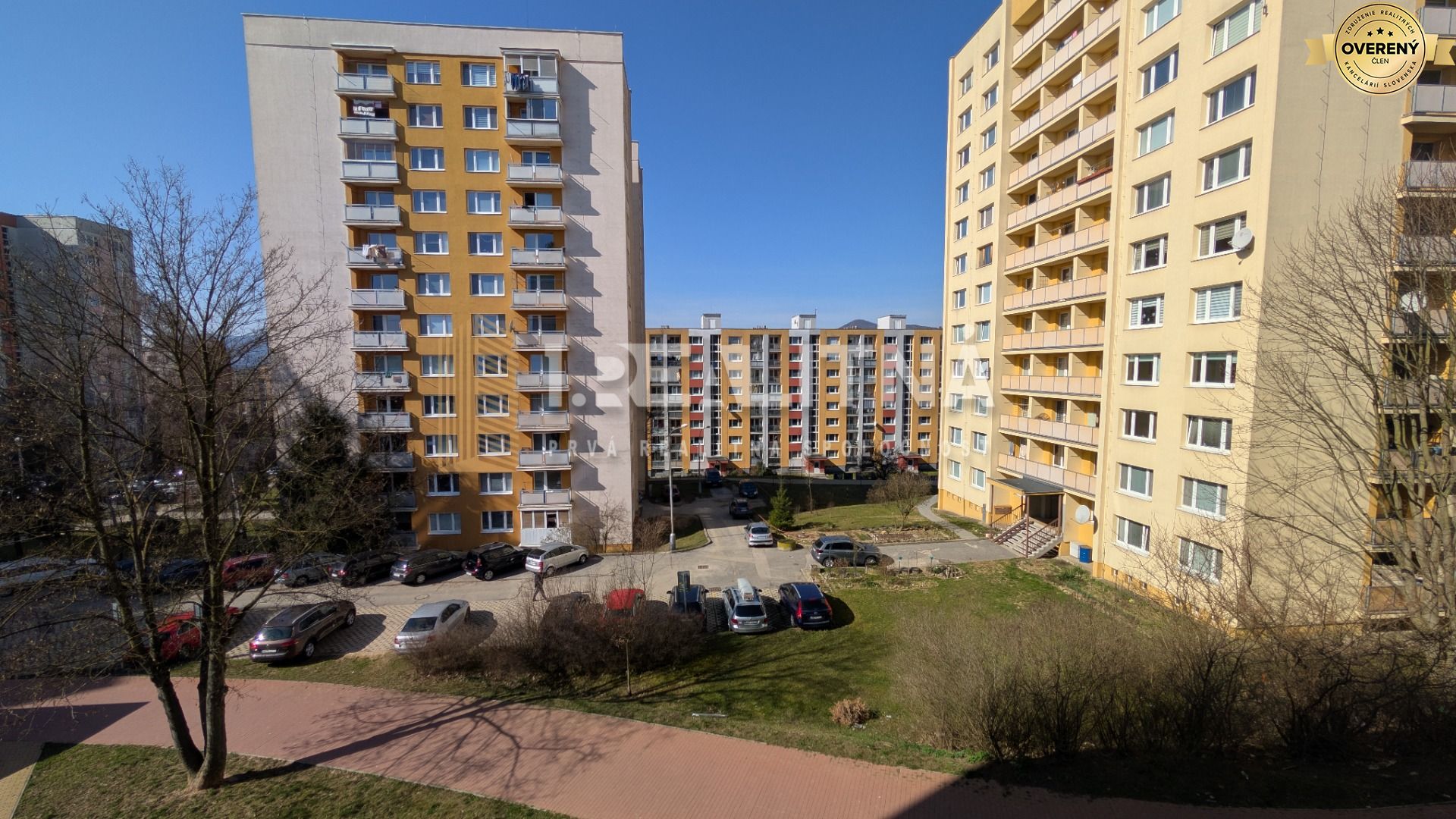 PXL_20260315_093137941.jpg