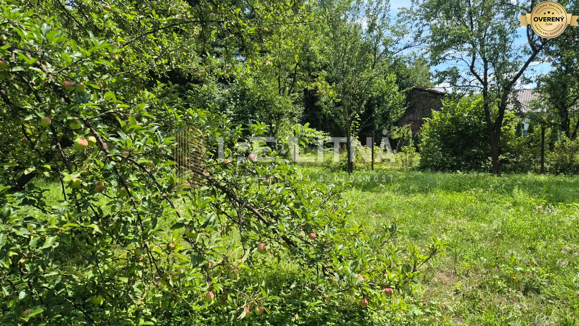 Záhrada 1.jpg